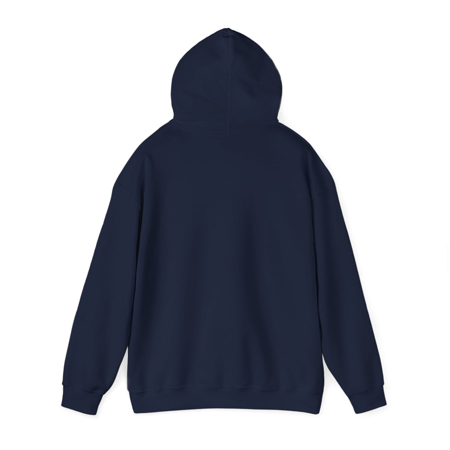 the ESHET CHAYAL hoodie