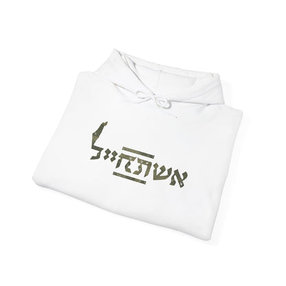 the ESHET CHAYAL hoodie