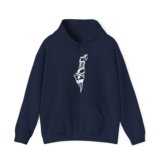 the MAP hoodie