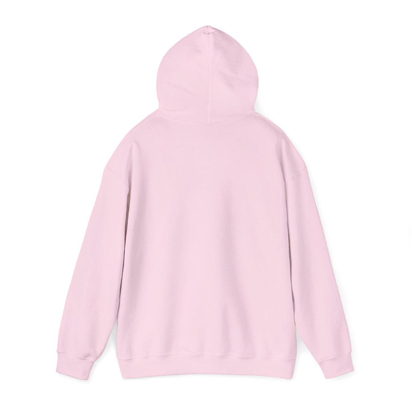 Pink Letterman LC Hoodie — Vintage Collegiate Logo Sweatshirt