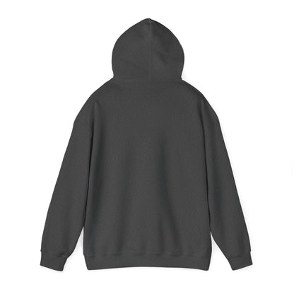 the ESHET CHAYAL hoodie